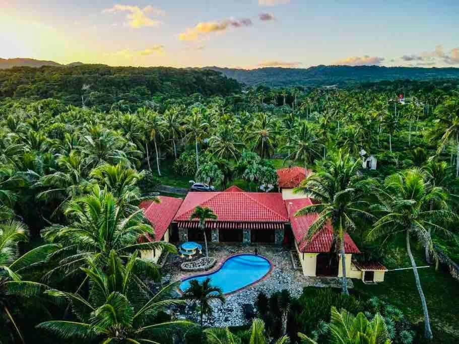 Palm House - Luxury Villa - Samana - Ocean Front Sánchez Exteriör bild