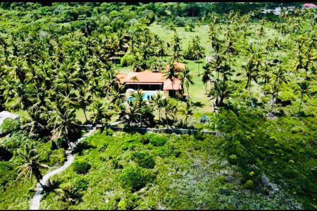Palm House - Luxury Villa - Samana - Ocean Front Sánchez Exteriör bild