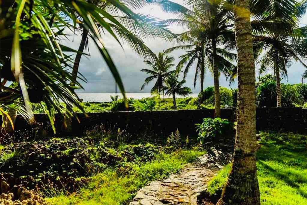 Palm House - Luxury Villa - Samana - Ocean Front Sánchez Exteriör bild