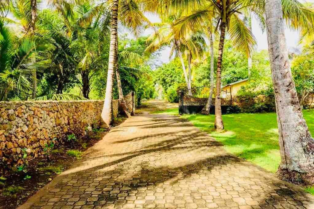 Palm House - Luxury Villa - Samana - Ocean Front Sánchez Exteriör bild