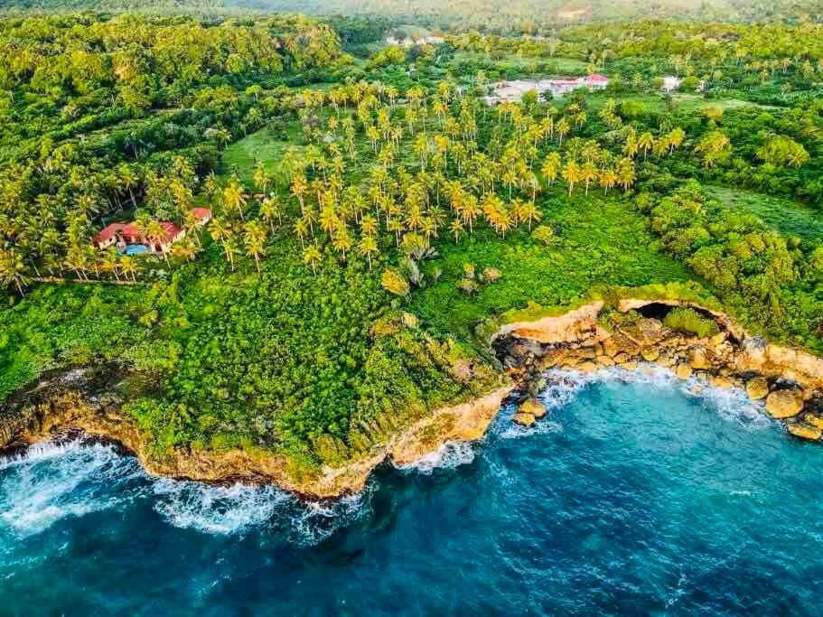 Palm House - Luxury Villa - Samana - Ocean Front Sánchez Exteriör bild