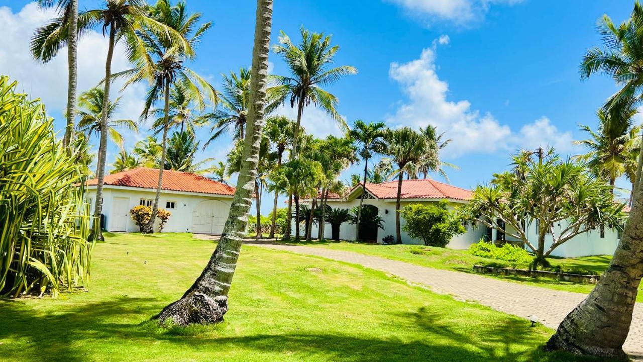 Palm House - Luxury Villa - Samana - Ocean Front Sánchez Exteriör bild