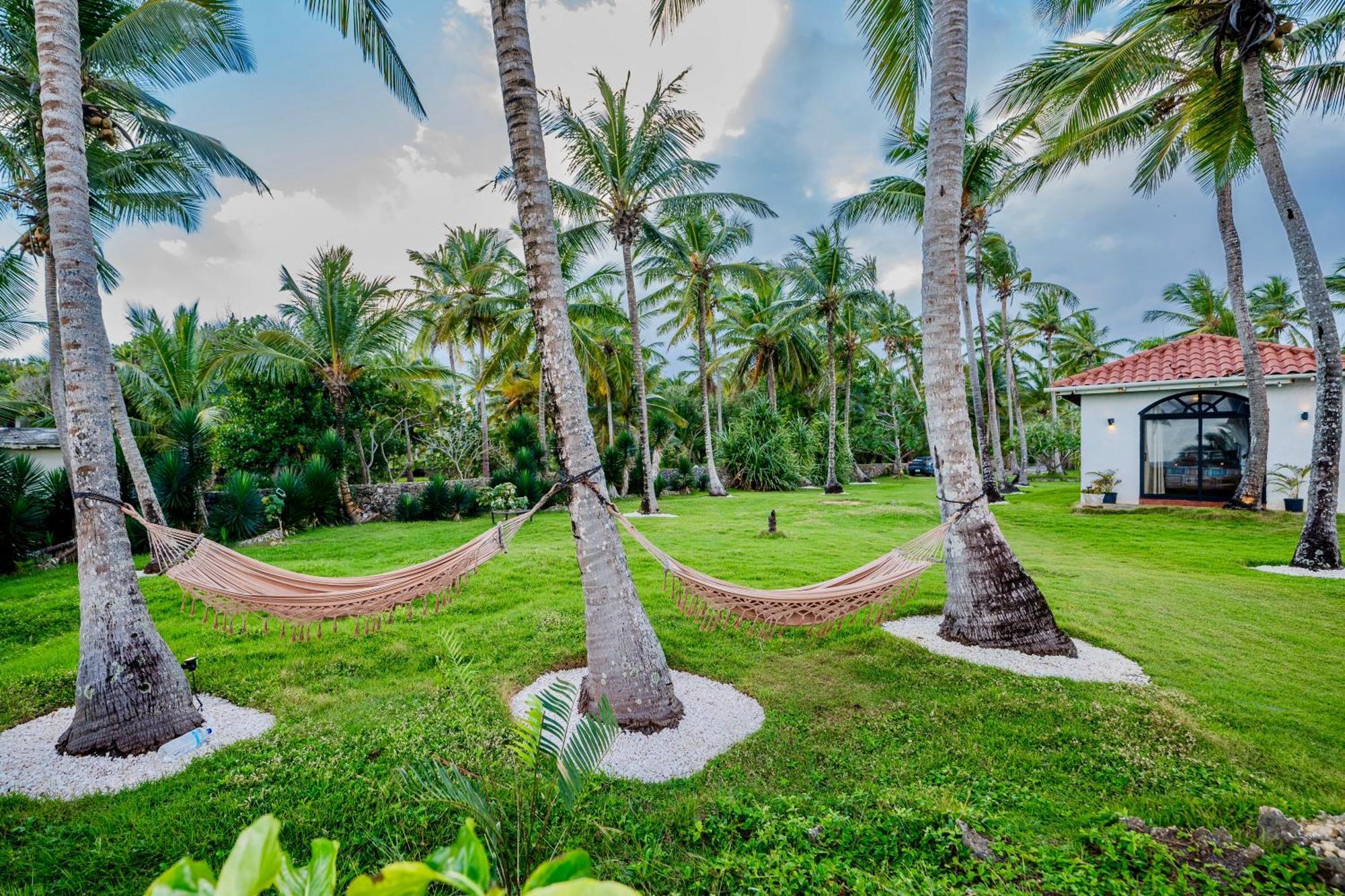 Palm House - Luxury Villa - Samana - Ocean Front Sánchez Exteriör bild