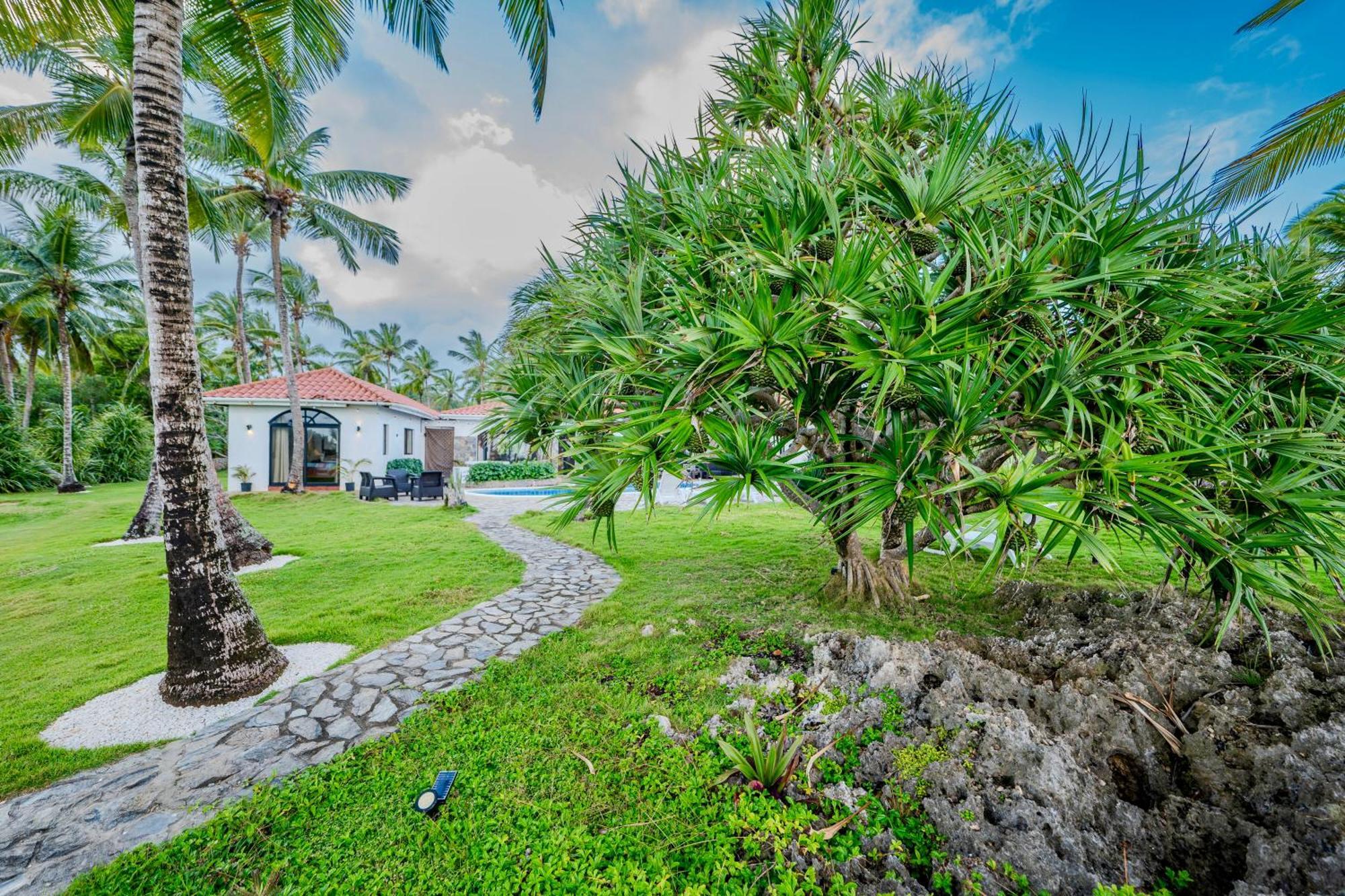 Palm House - Luxury Villa - Samana - Ocean Front Sánchez Exteriör bild